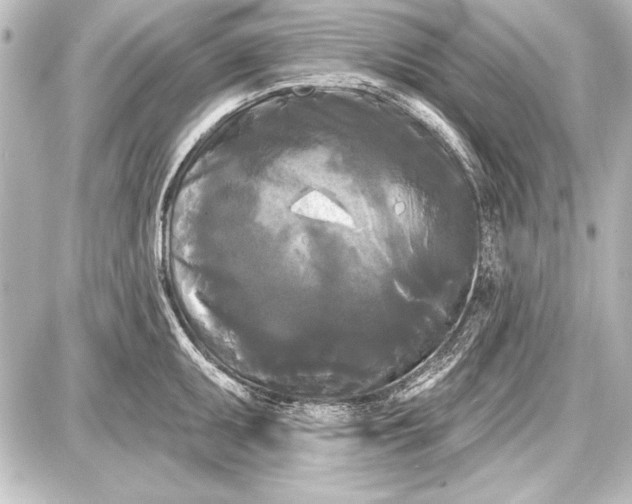 X0000087631095200705181454