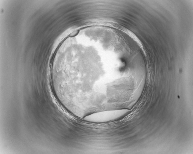 X0000087631096200705181454