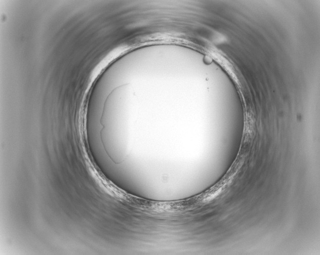 X0000087631098200705181454