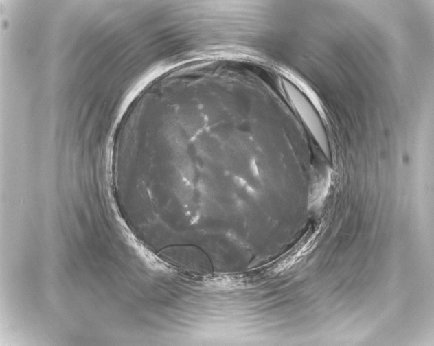 X0000087631099200705181454