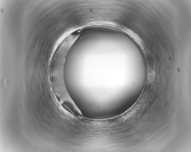 X0000087631102200705181454