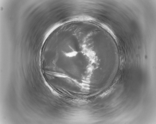 X0000087631103200705181454