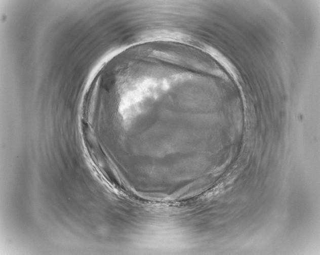 X0000087631104200705181454