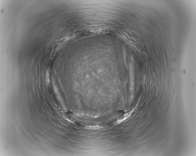 X0000087631106200705181453