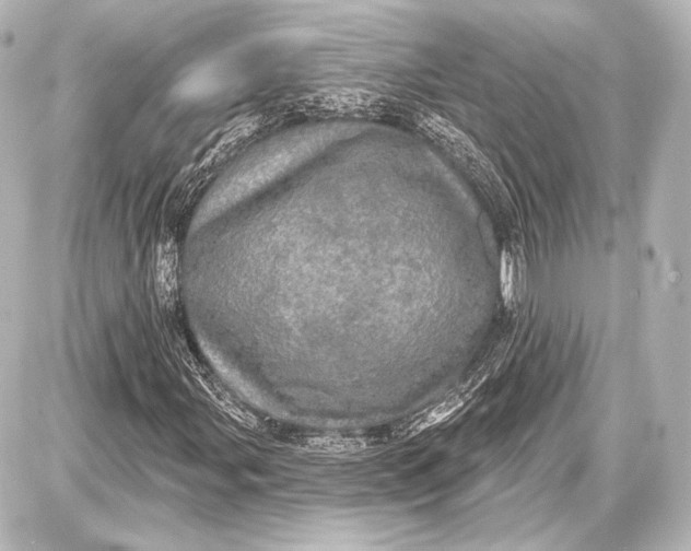 X0000087631107200705181453