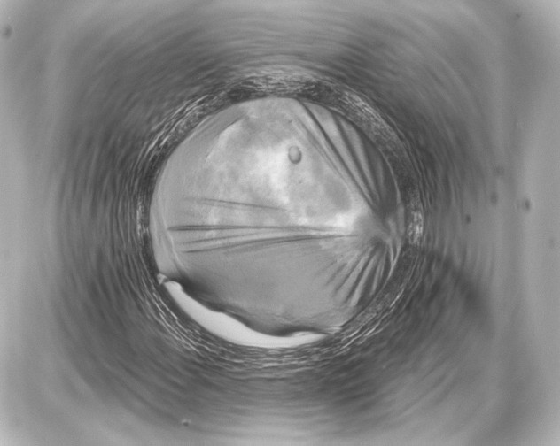 X0000087631108200705181453