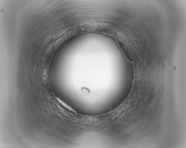 X0000087631109200705181453