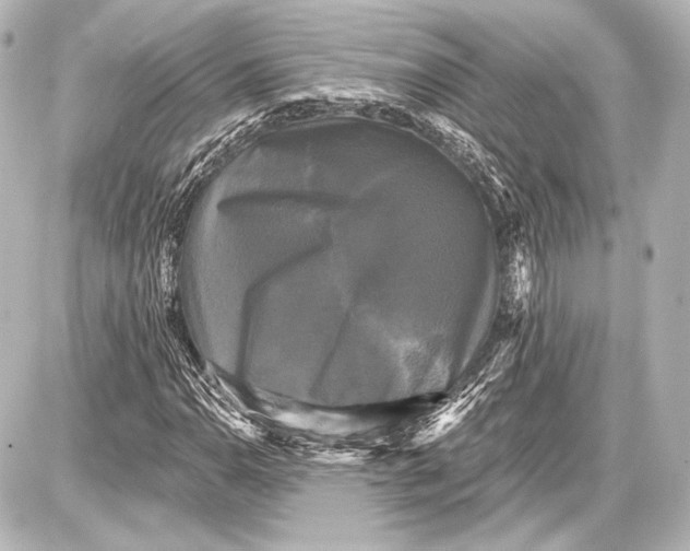 X0000087631110200705181453