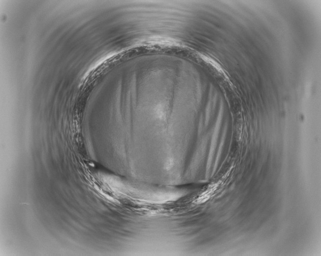 X0000087631112200705181453