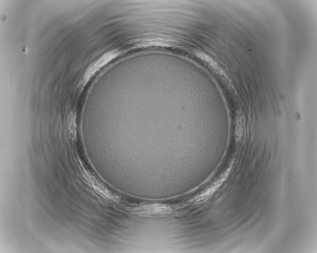 X0000087631113200705181453