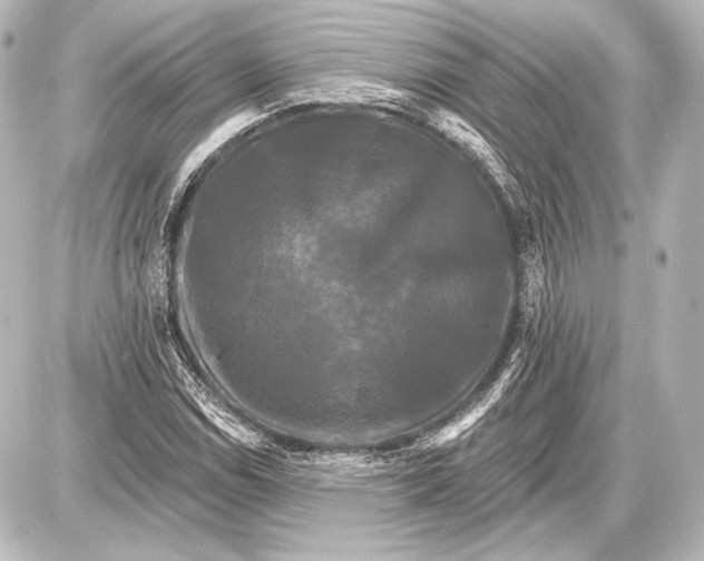 X0000087631114200705181453