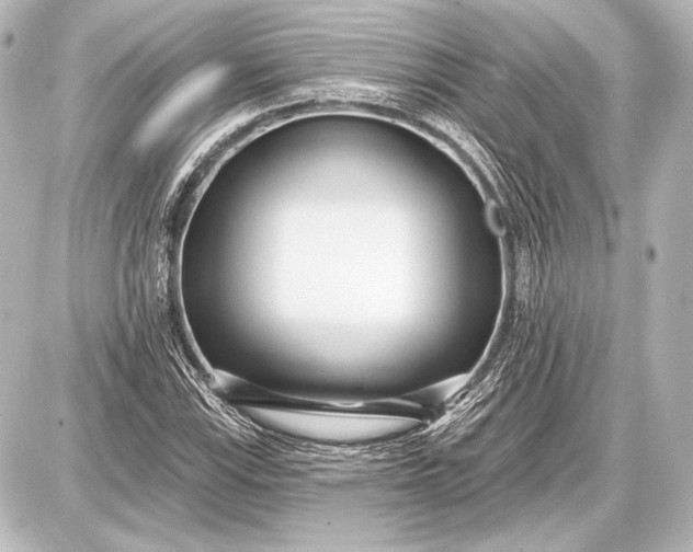 X0000087631115200705181453