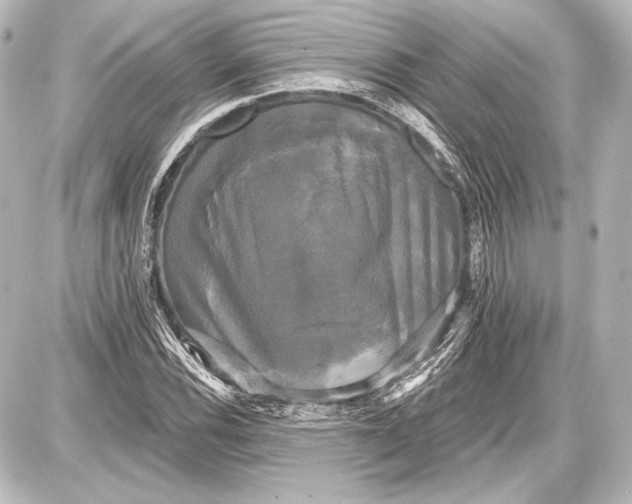 X0000087631116200705181453