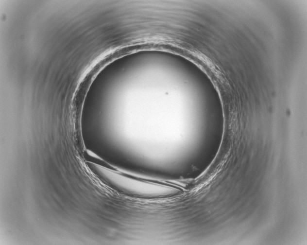 X0000087631118200705181453