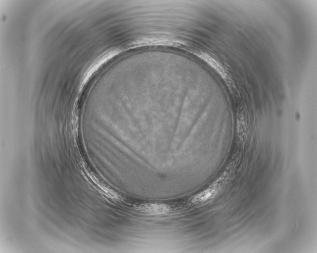 X0000087631119200705181453