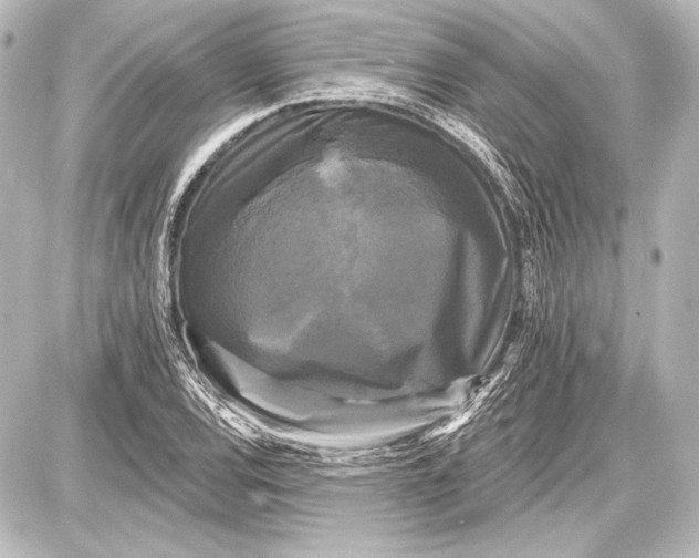 X0000087631120200705181453