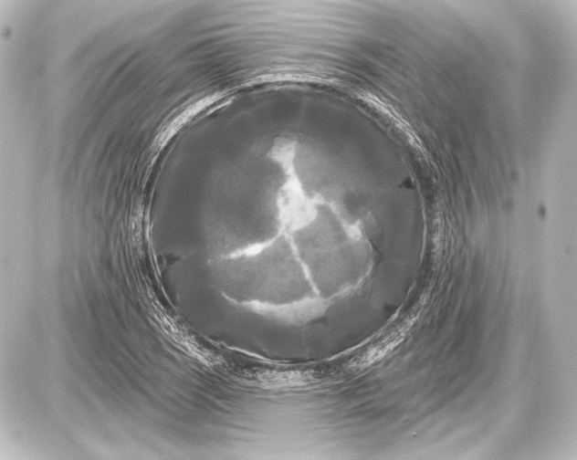 X0000087631121200705181453