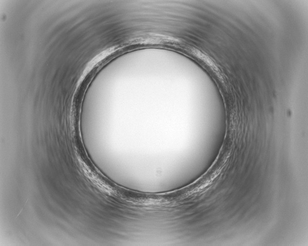 X0000087631122200705181453