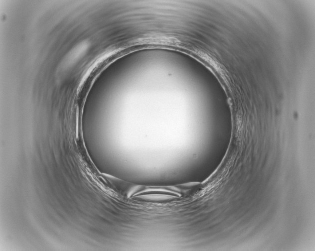 X0000087631123200705181453