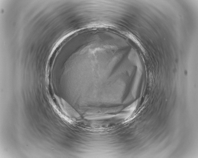 X0000087631124200705181453