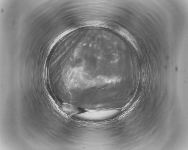 X0000087631125200705181453