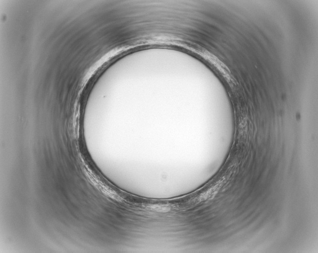 X0000087631126200705181454