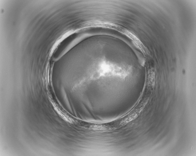 X0000087631128200705181454