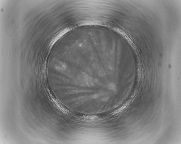 X0000087631129200705181454