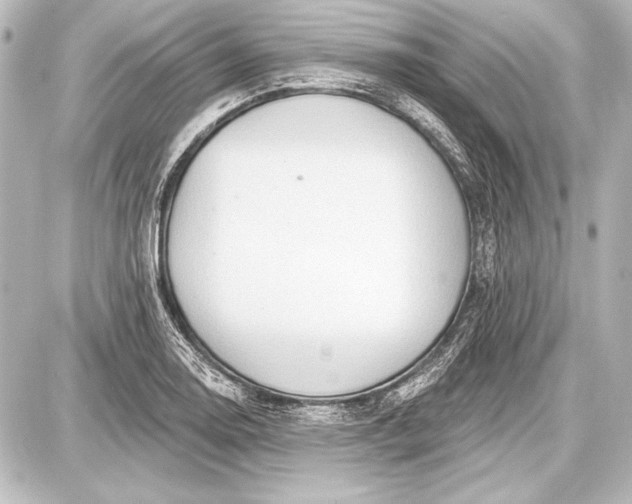 X0000087631130200705181454