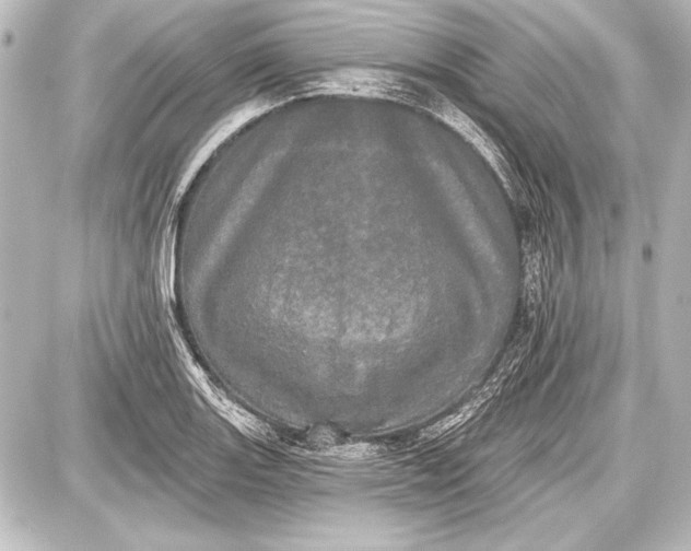 X0000087631131200705181454