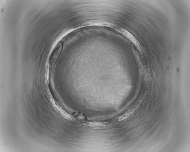 X0000087631132200705181454