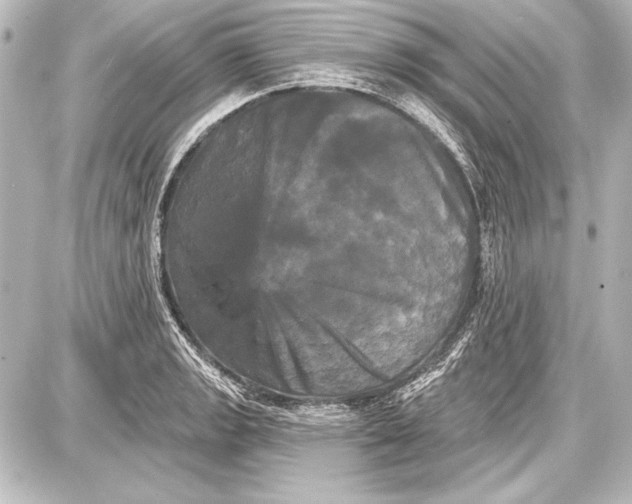 X0000087631133200705181454