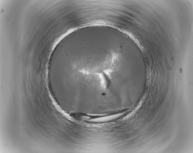 X0000087631134200705181454