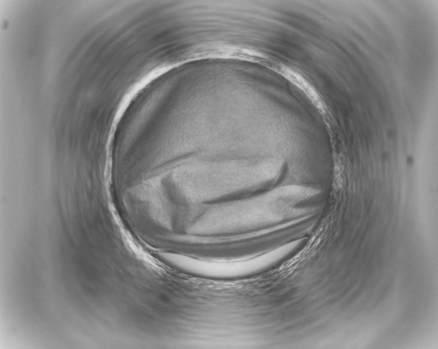 X0000087631136200705181454