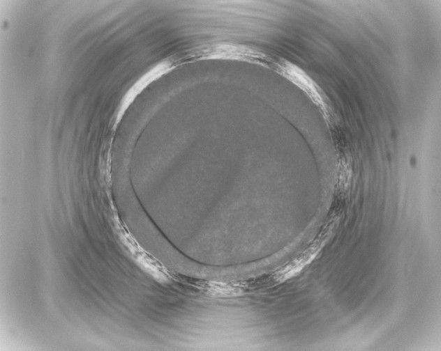 X0000087631138200705181454