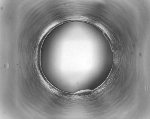 X0000087631139200705181454