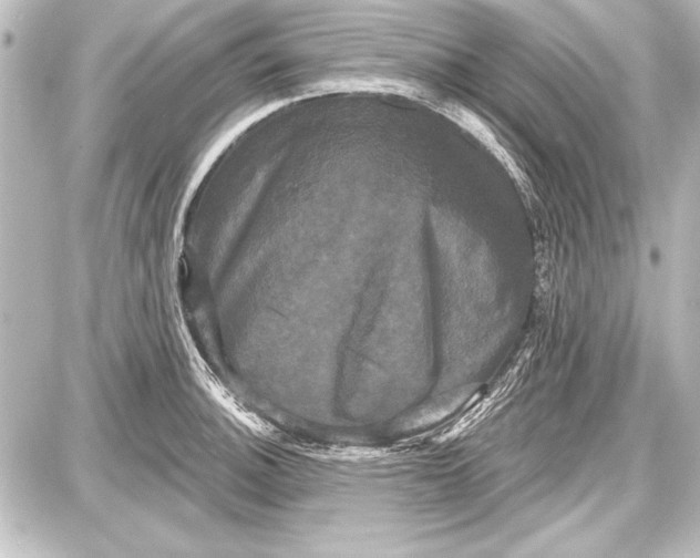 X0000087631140200705181454