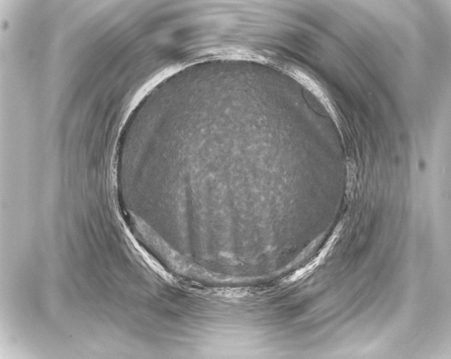 X0000087631141200705181454