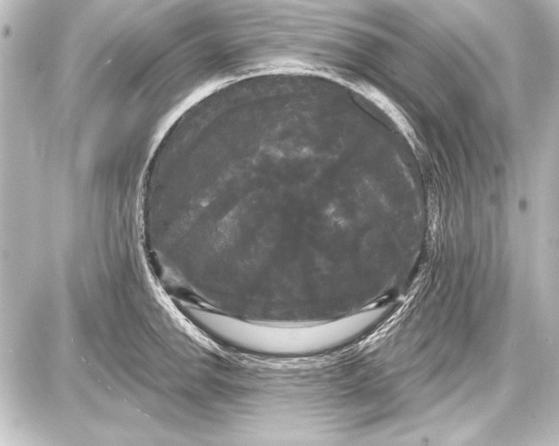 X0000087631142200705181454