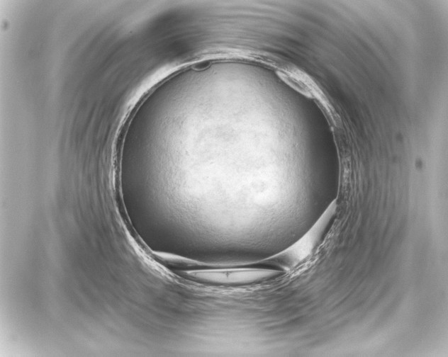 X0000087631143200705181454