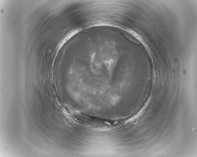 X0000087631145200705181454