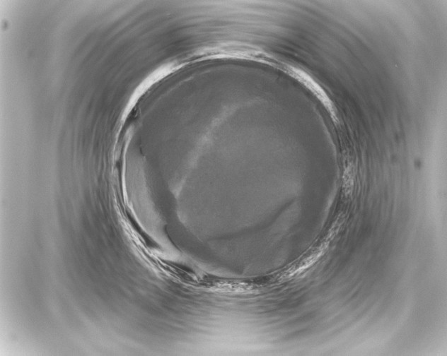 X0000087631146200705181454