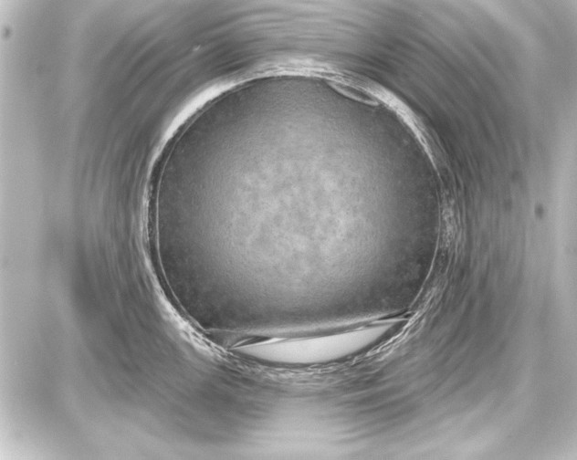 X0000087631147200705181454