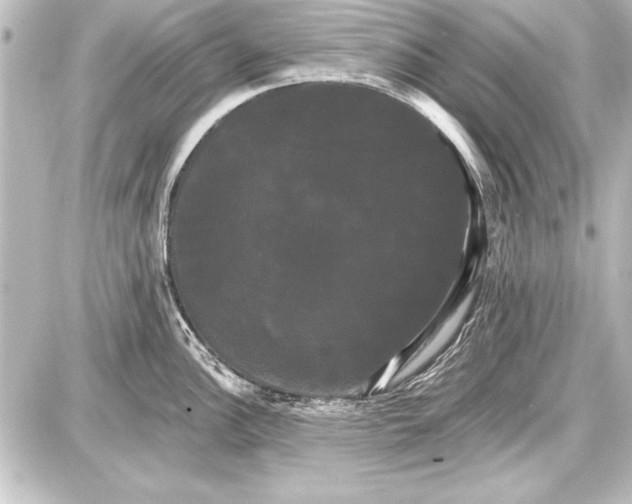 X0000087631148200705181454