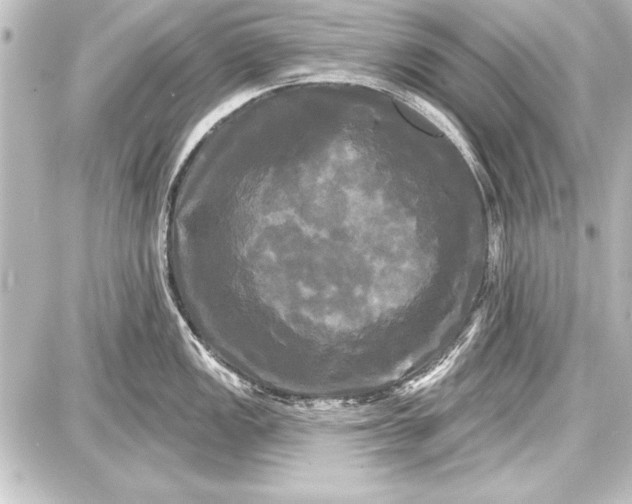 X0000087631149200705181454