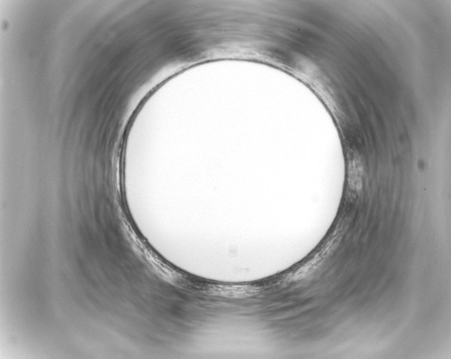 X0000087631150200705181454