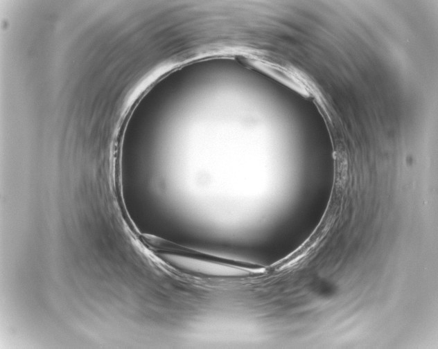 X0000087631151200705181454