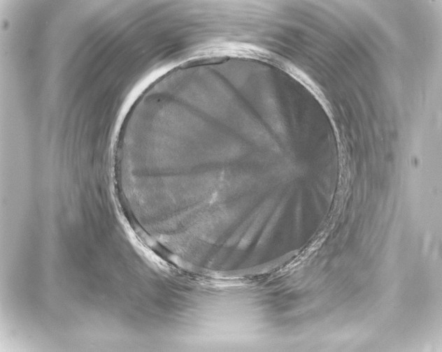 X0000087631152200705181454