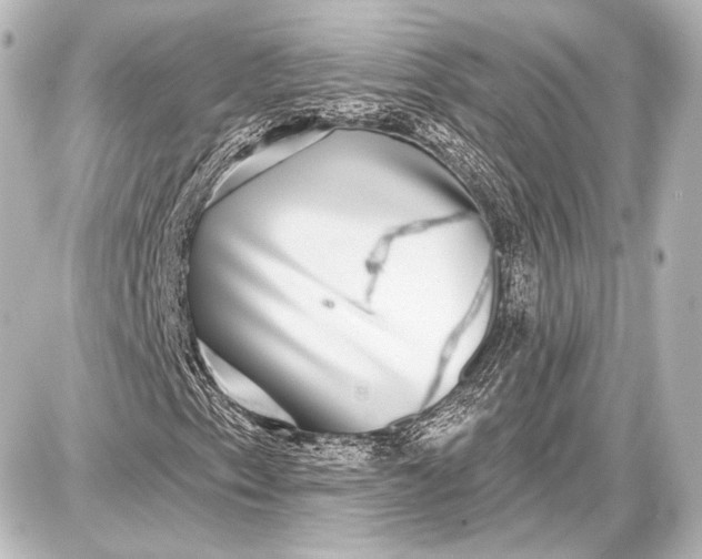 X0000087631153200705181453