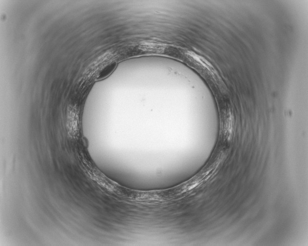 X0000087631154200705181453